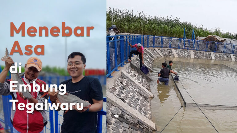 Menebar Asa: Tebar 35 Ribu Benih Ikan Patin