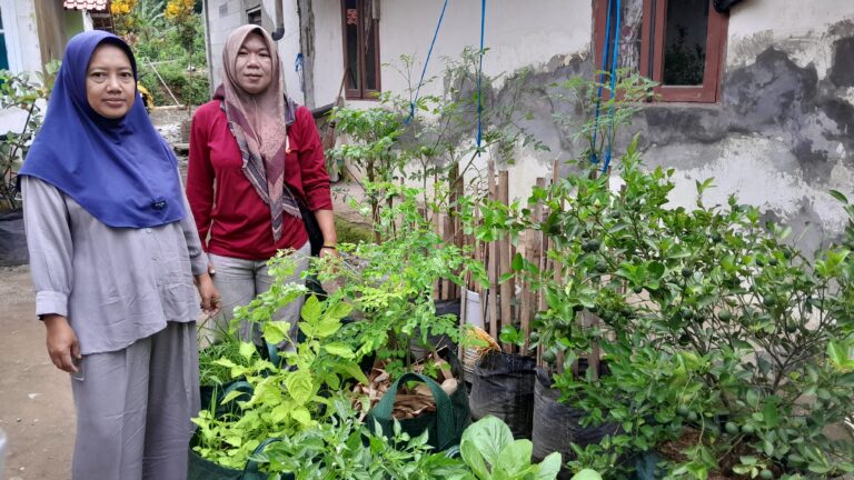warga penerima tanaman dalam planter bag