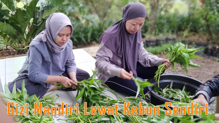 Gizi Mandiri Lewat Kebun Sendiri