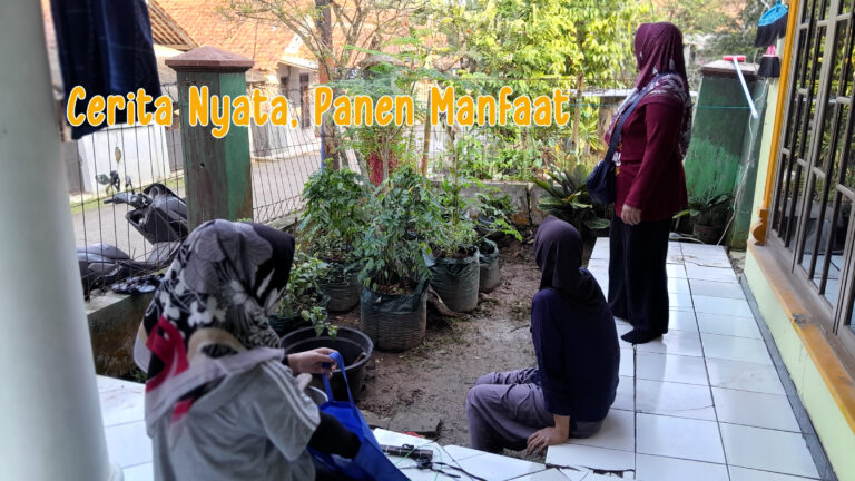 Cerita Nyata, Panen Manfaat